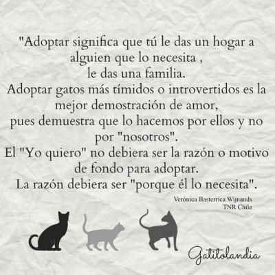 ADOPTA UN CASO ESPECIAL. ADOPTA UN CASO ESPECIAL.