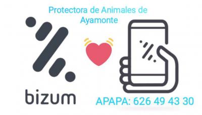 BIZUM APAPA BIZUM APAPA